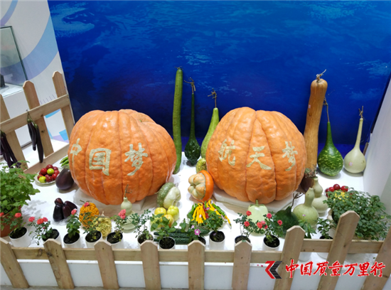 直銷專業網,東方紅,航天生物,珠海航展