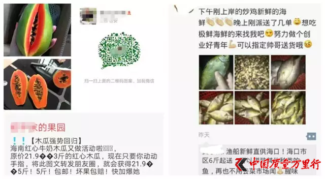 朋友圈私房粽子走紅 業內人士:無監管 有隱患